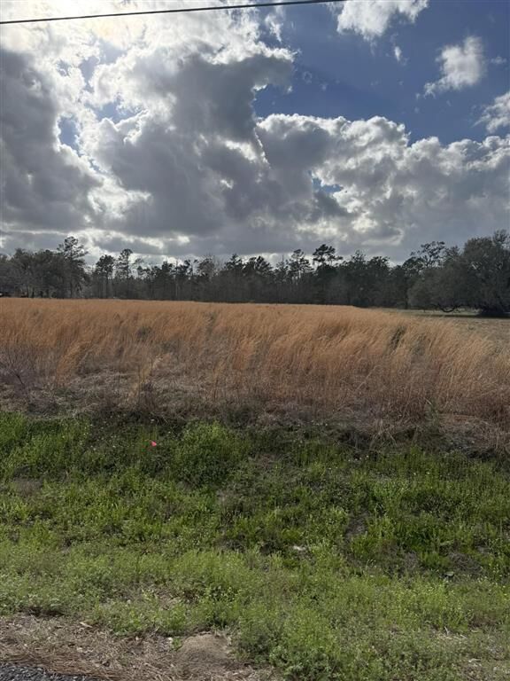 Property Photo: 0 Choupique Road LA 70665