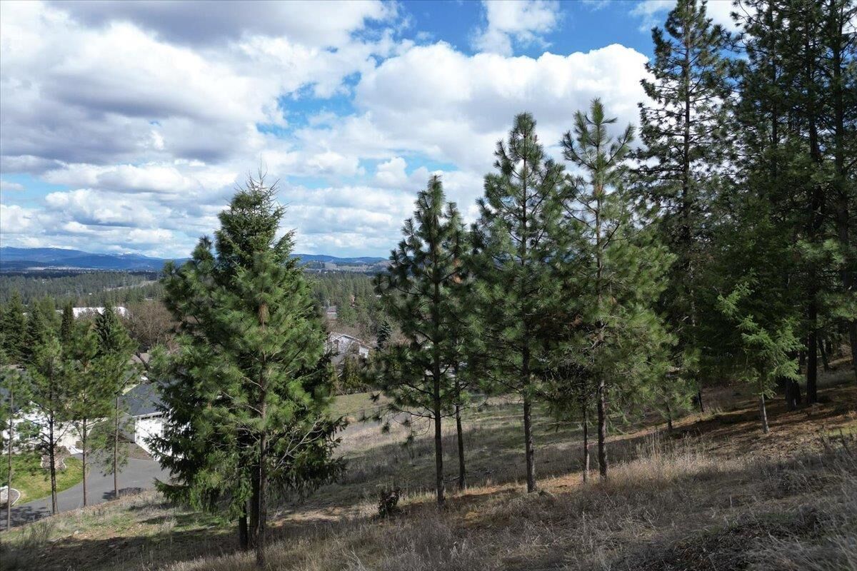 Property Photo: 1411 W Toni Rae Dr WA 99218