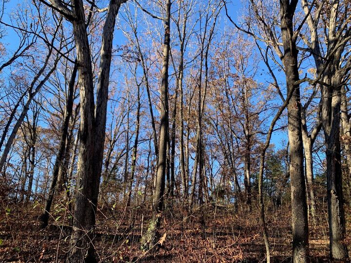 Property Photo:  9.04 Acres N Ridge Rd  MO 65256 