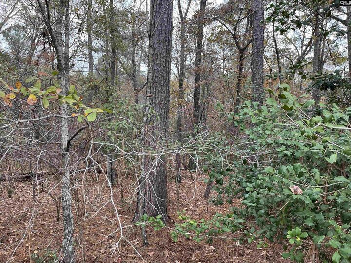 Property Photo:  Tbd Parkwood  SC 29112 