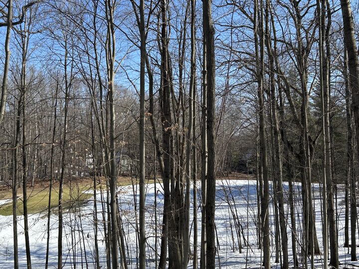 Property Photo:  9570 Pere Marquette Drive  MI 49346 