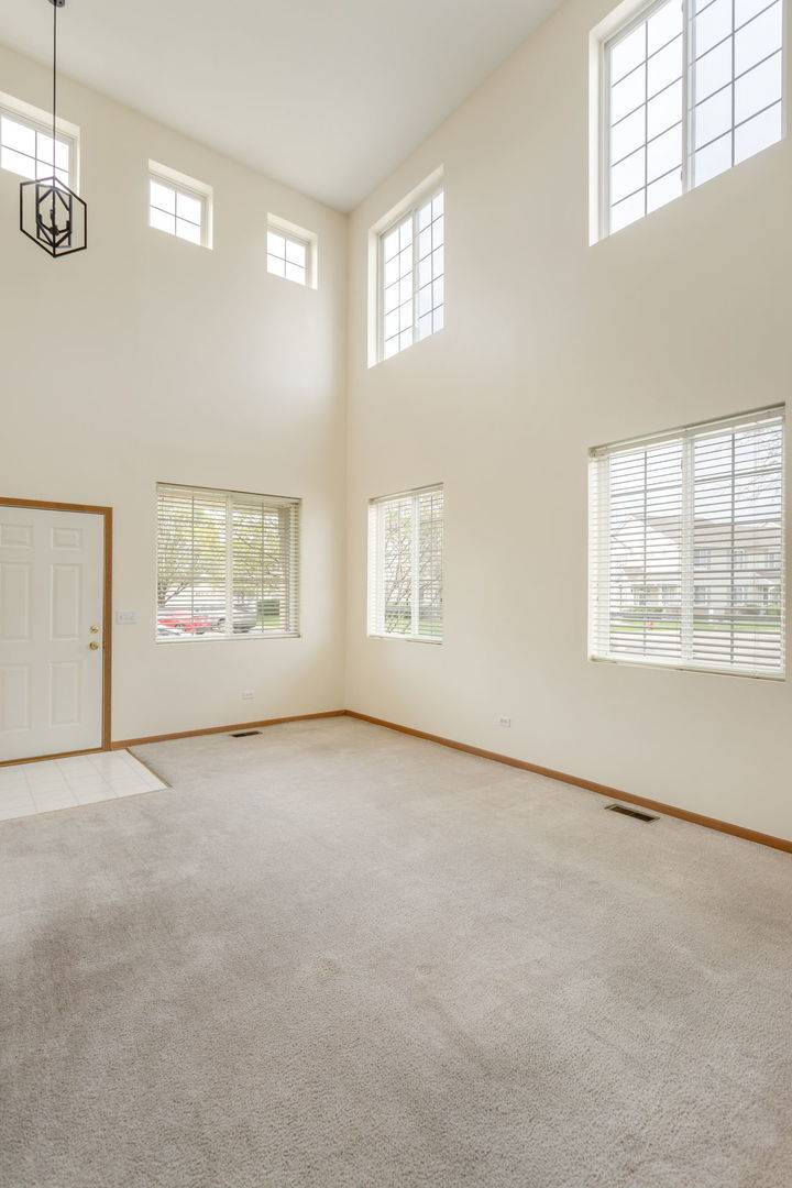 Property Photo:  153 Yarrow Court  IL 60446 