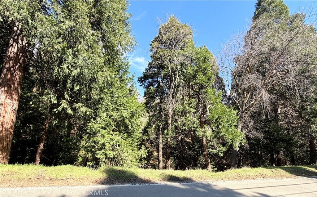 Property Photo:  0 Hook Creek  CA 92321 