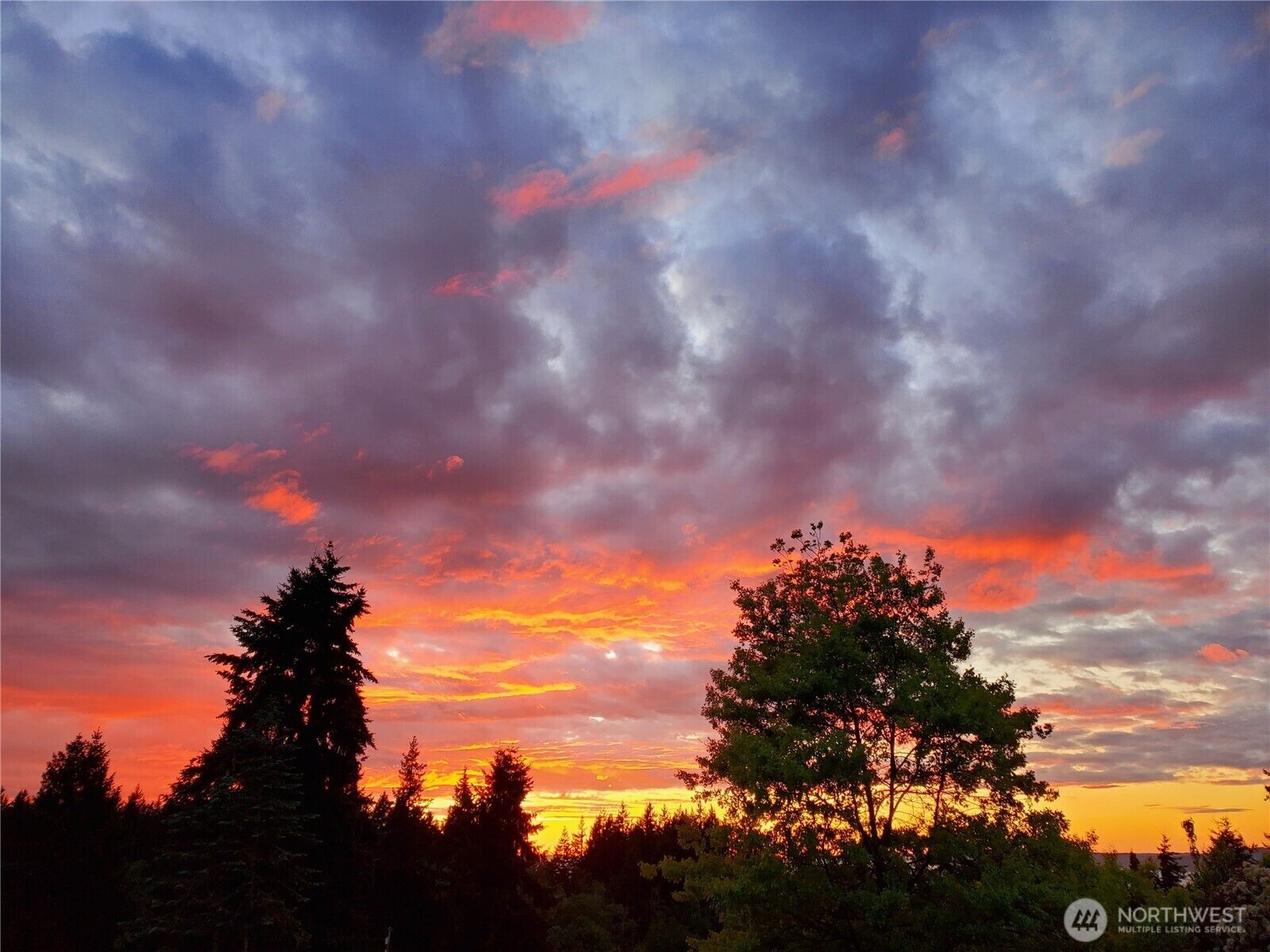 Property Photo:  7407  180th Street SW  WA 98026 