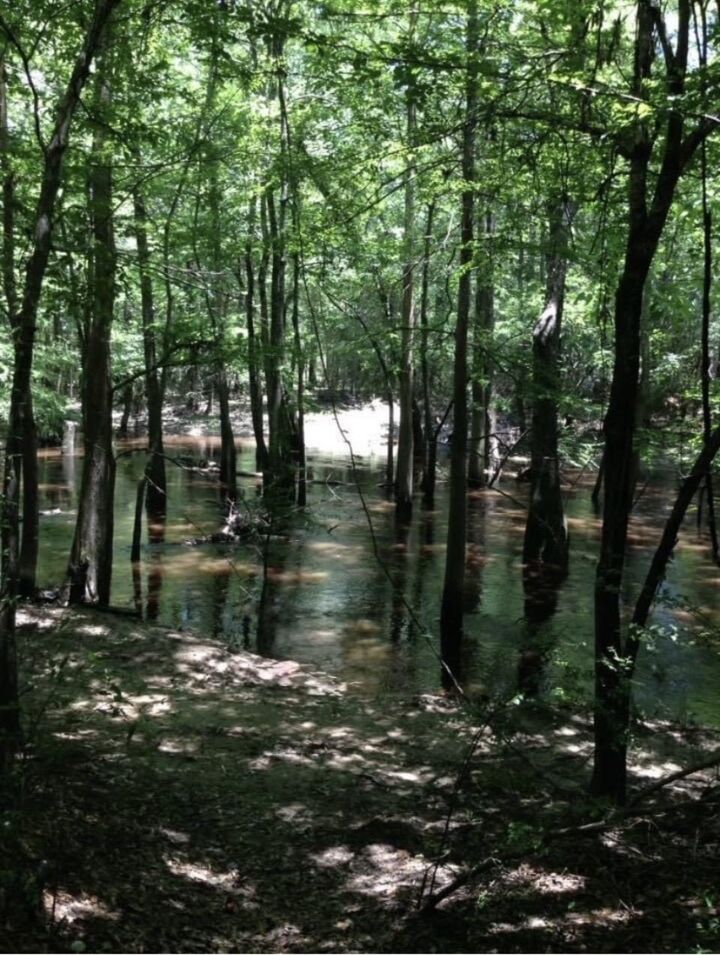 Property Photo:  12615 Beaver Brook St.  TX 77657 