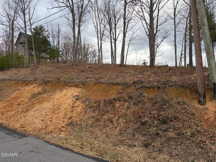 Property Photo:  Lot 78 Vixen Run  TN 37738 
