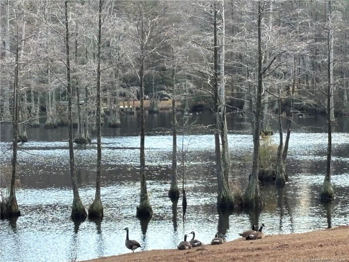 Property Photo:  3342 Vassar Circle  NC 28306 