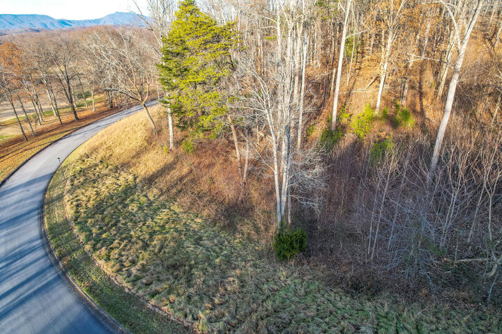 Property Photo:  765 Chimney Top Lane  TN 37641 