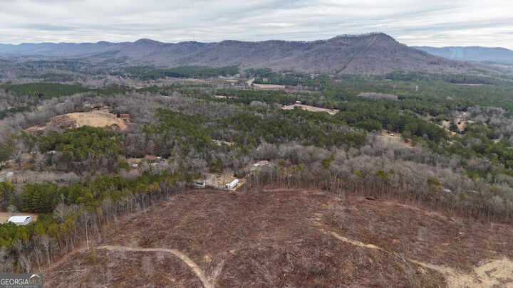 Property Photo:  557 Acres On Taliaferro Springs Road  GA 30730 