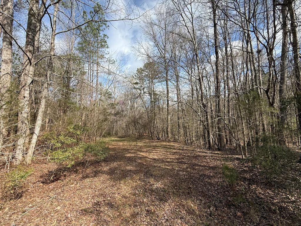 Property Photo:  21 Acres Ga Highway 0085  GA 31831 