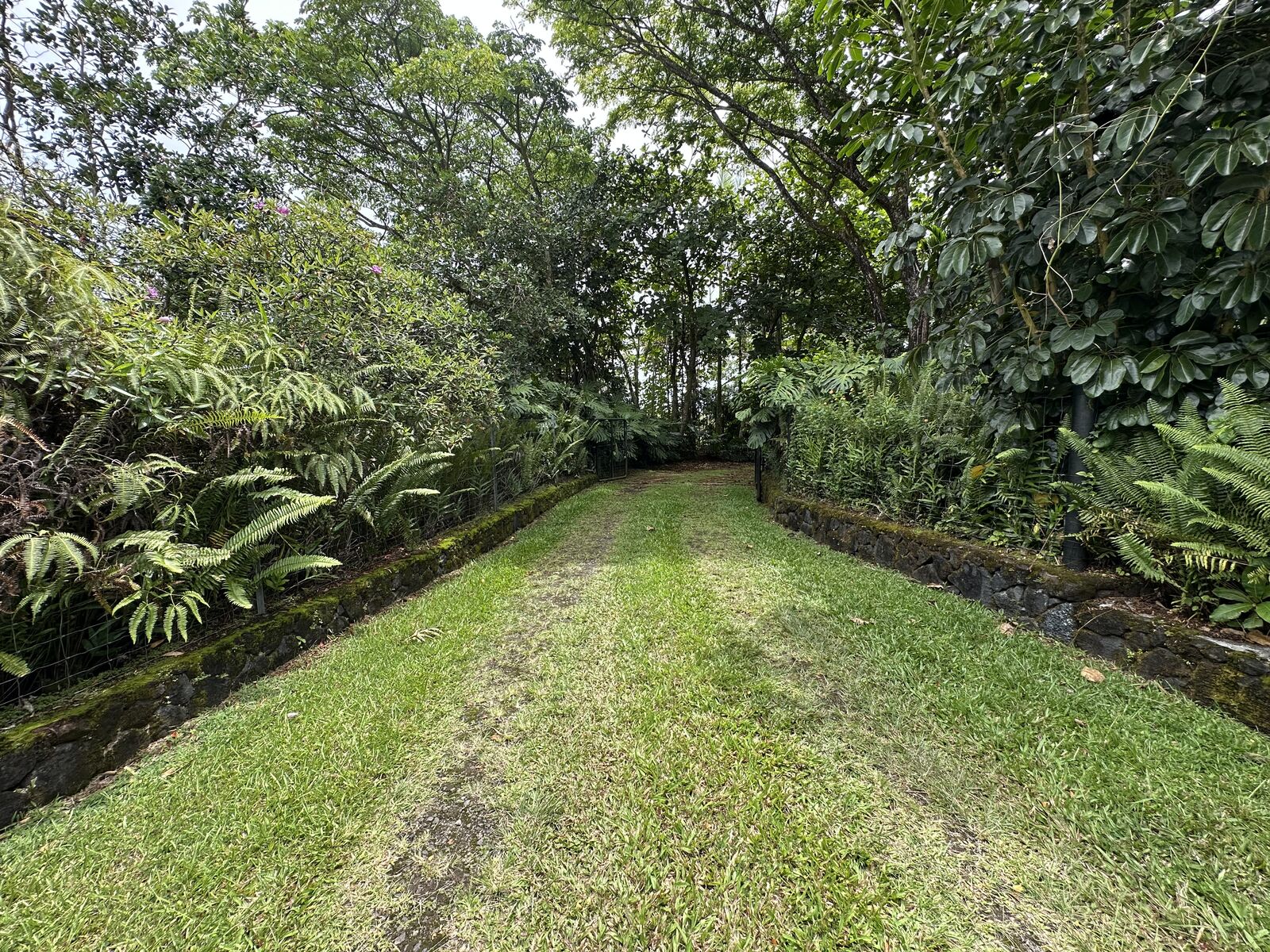 Property Photo: 15-1574 Loke Rd HI 96749