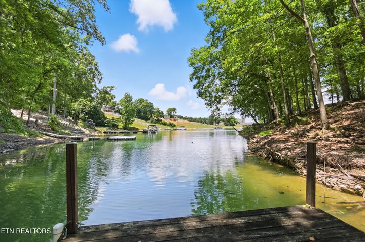 Property Photo:  1750 Breezie Point Lane  TN 37725 