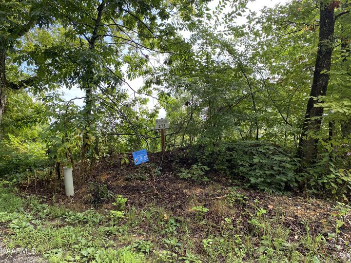 Property Photo: 4556 Huffine Rd TN 37774