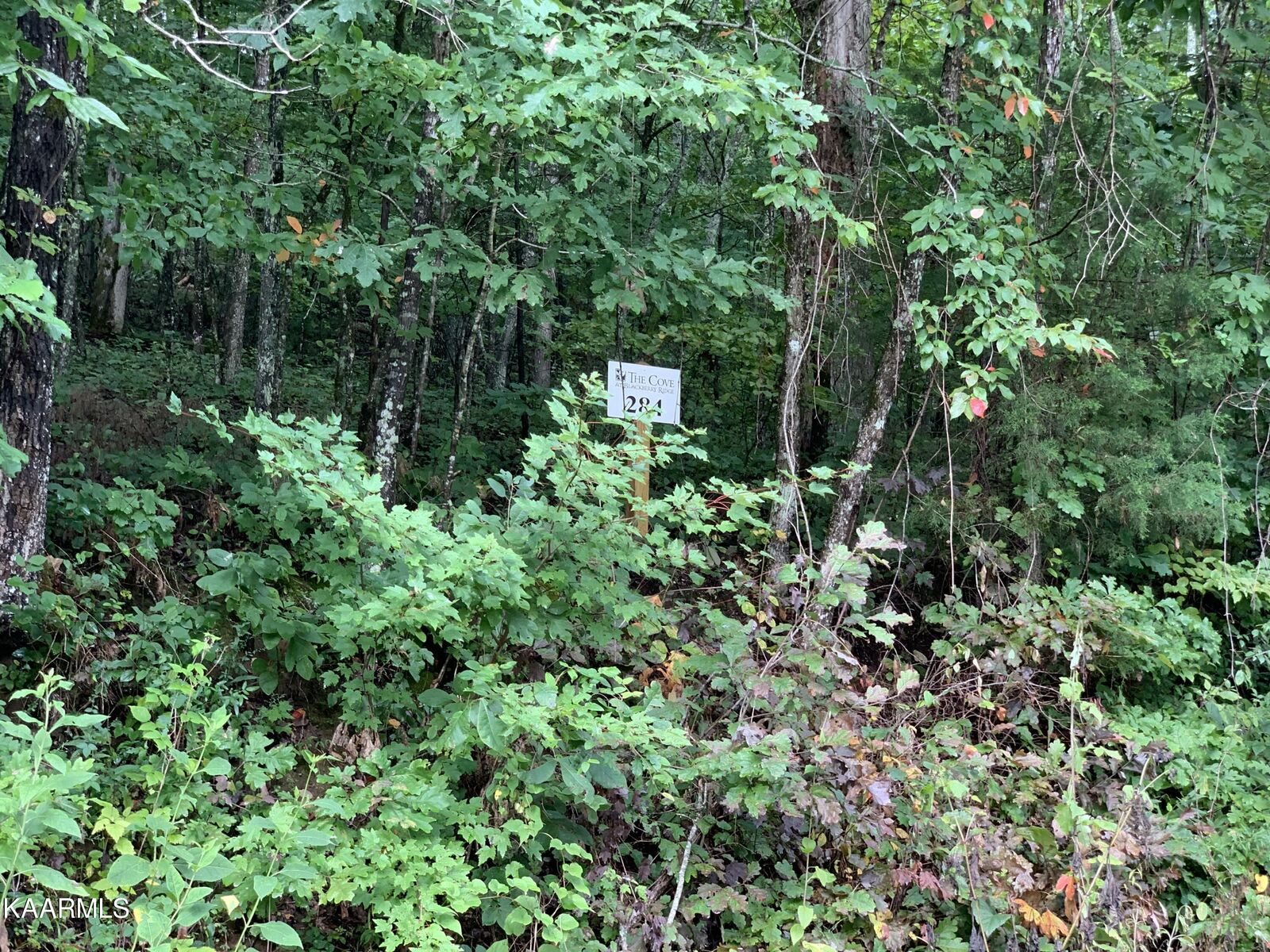 Property Photo: 4507 Huffine Rd TN 37774