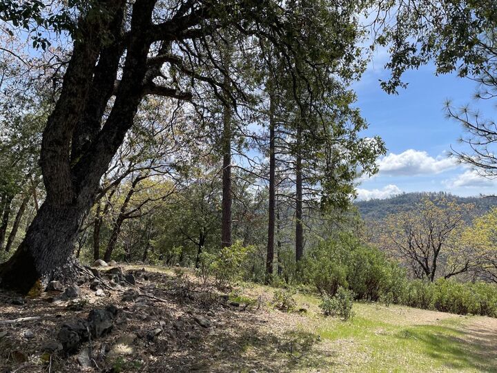 Property Photo:  0 Parcel A  Armstrong Road  CA 95250 