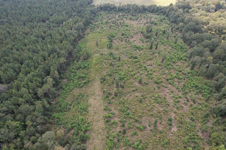 Property Photo: (R153782) Pahal Road TX 75949