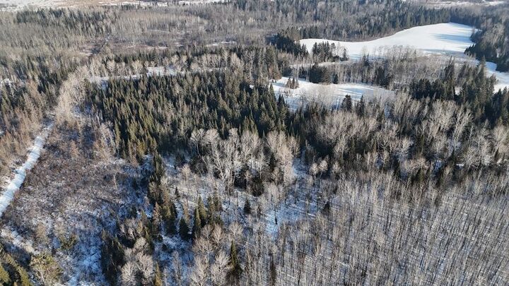 Property Photo:  12905 Township Road D  MN 55736 