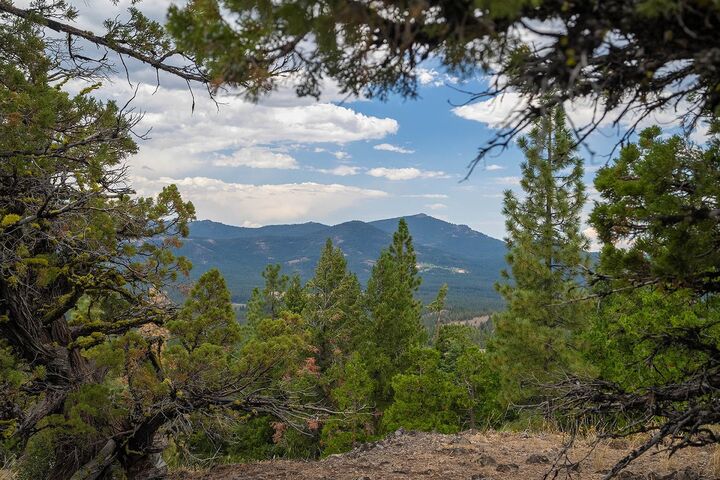 Property Photo:  321 Eagles Nest  CA 96161 