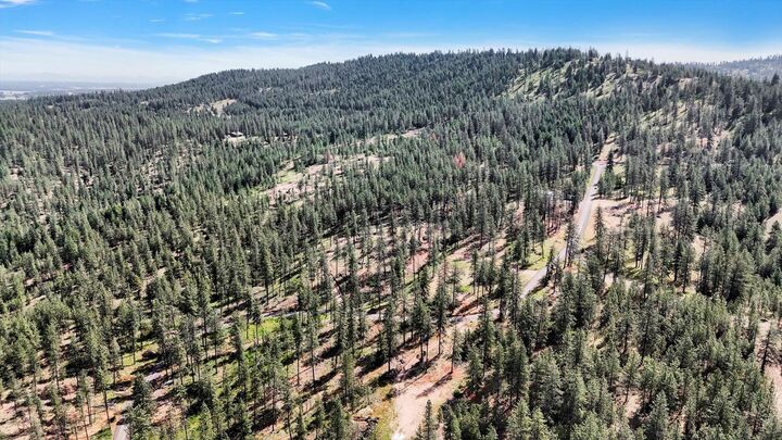 Property Photo:  Nka Lower Weaver Way Lots A And C  WA 99006 