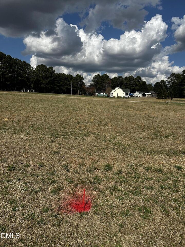 Property Photo: 954 Blue Pond Road NC 27520