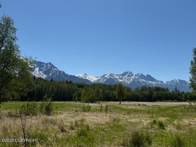Property Photo:  15270 E Peacefull Lane  AK 99645 