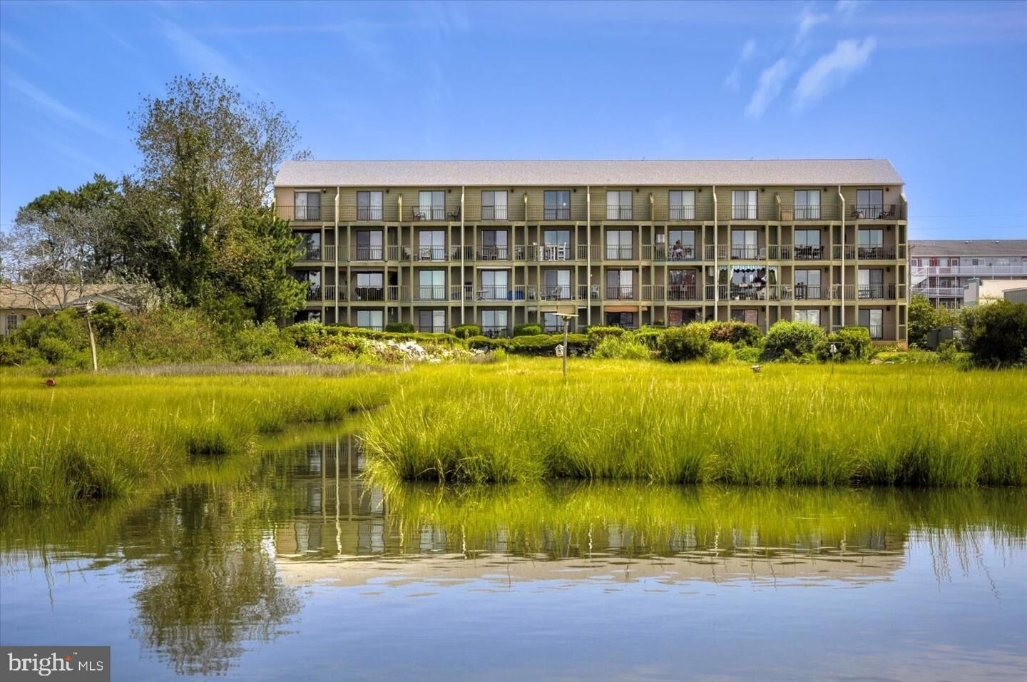 Property Photo:  104 56th Street 101  MD 21842 