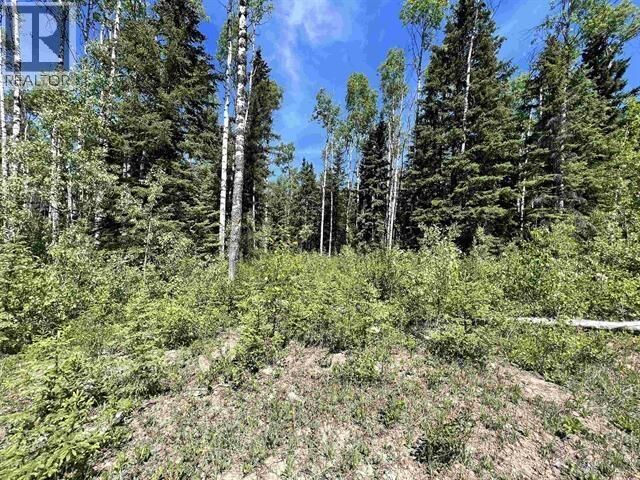 Property Photo:  Lot 1 Charlie Frontage Road  BC V0J 1S0 