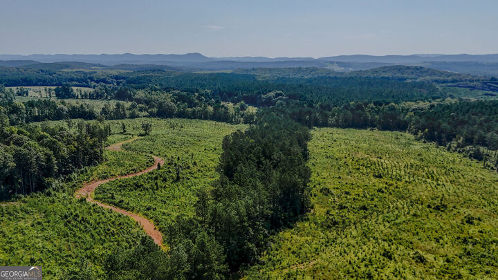 Property Photo: Lot 1 Back Valley Road GA 30730