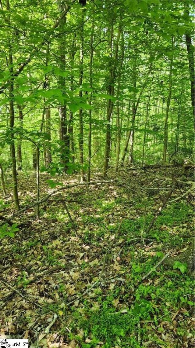 Property Photo:  1125 Cambrige Street  SC 29620 