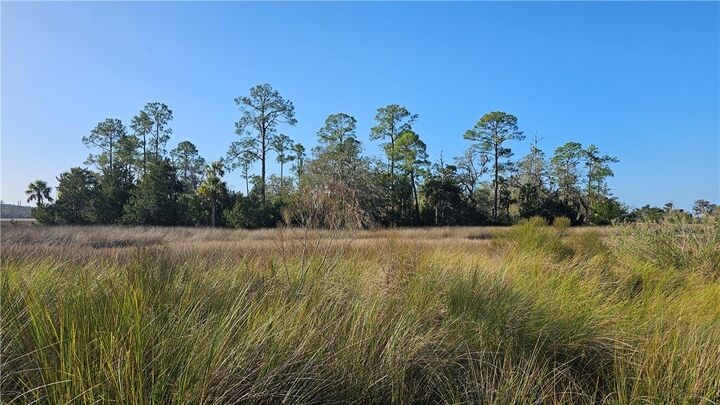 Property Photo:  304 Burford Road  GA 31523 