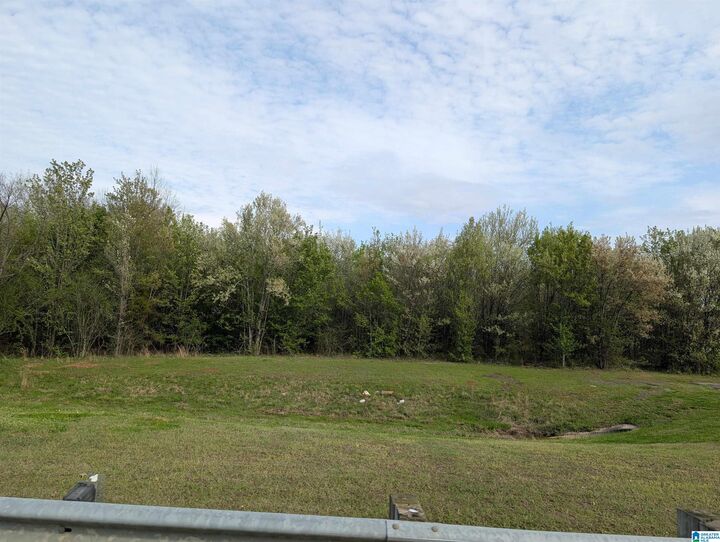 Property Photo:  0 (4 Acres) Highway 21 0  AL 36203 
