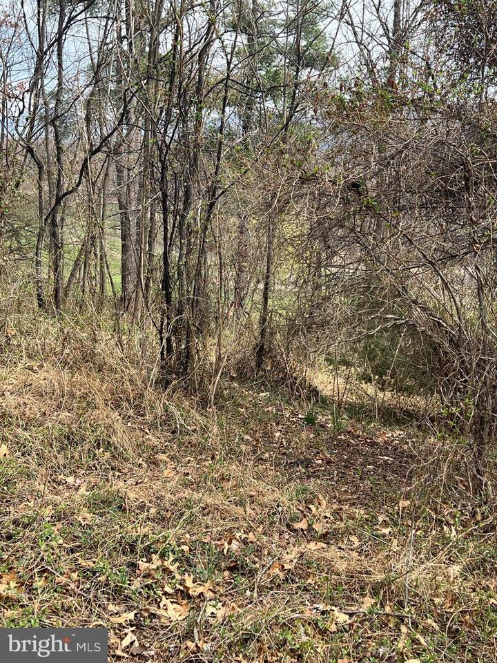 Property Photo:  Rose Hill Drive  MD 21557 