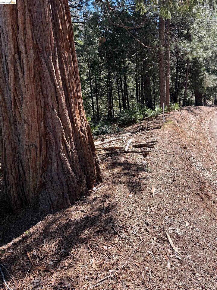 Property Photo:  000 Lot 498 Oxbow Lane N  CA 95370 