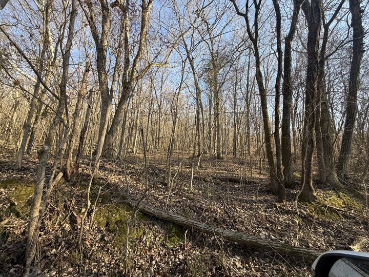 Property Photo:  0 County Rd 91  AL 35958 