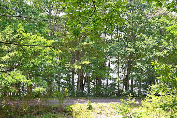 Property Photo:  Moncove Lake Rd  WV 24941 