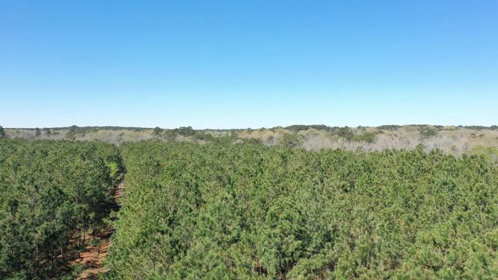 Property Photo:  0000 County Road 1926  TX 75563 