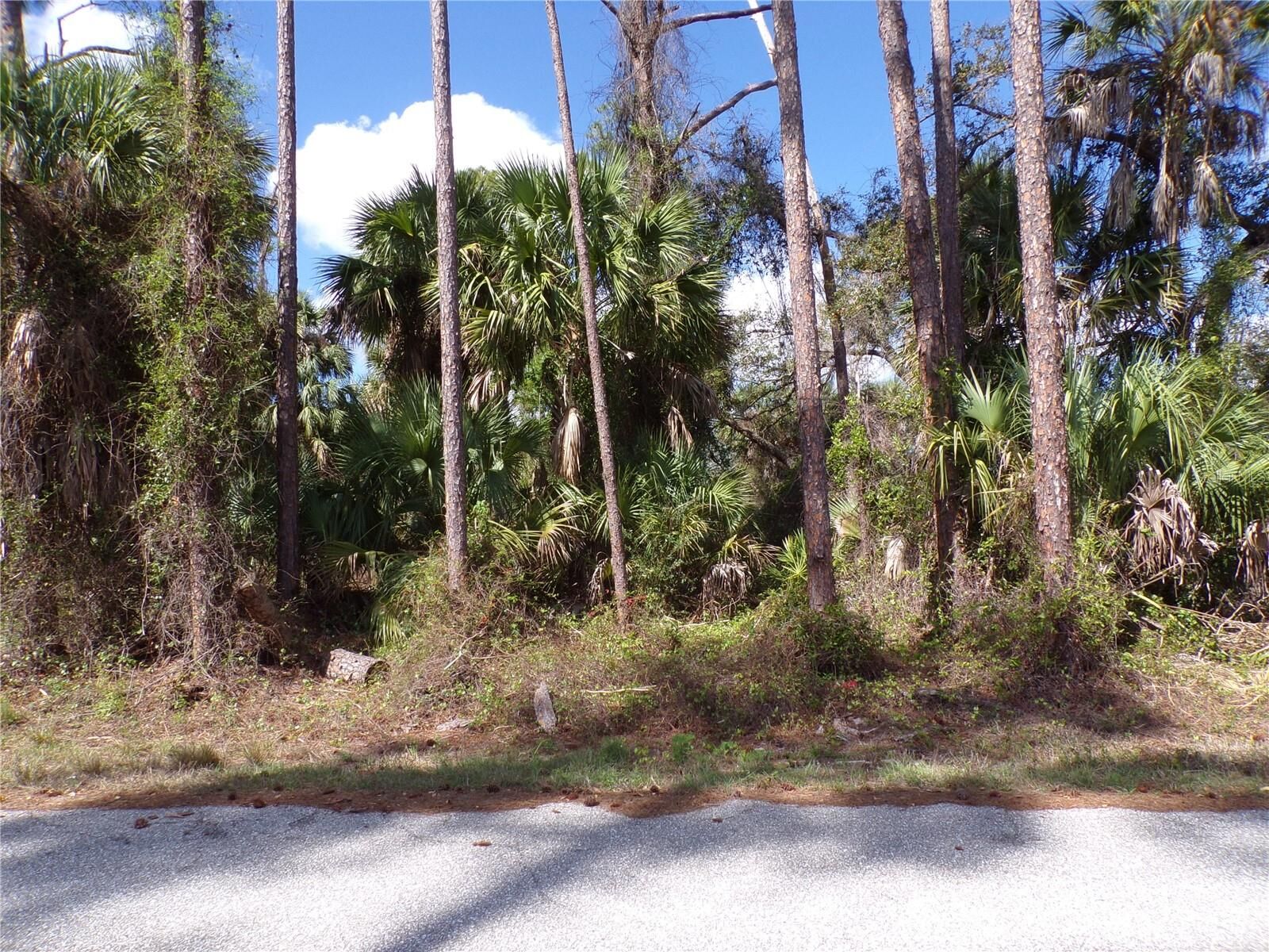 Property Photo: 107 Mercer Street FL 33954