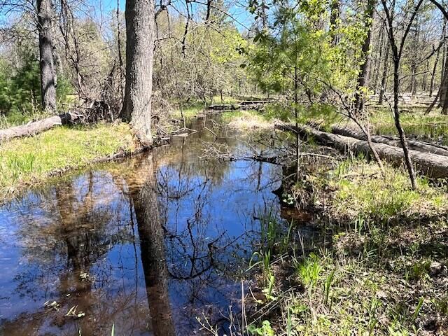 Property Photo:  13191 Chicago Avenue  MI 49689 