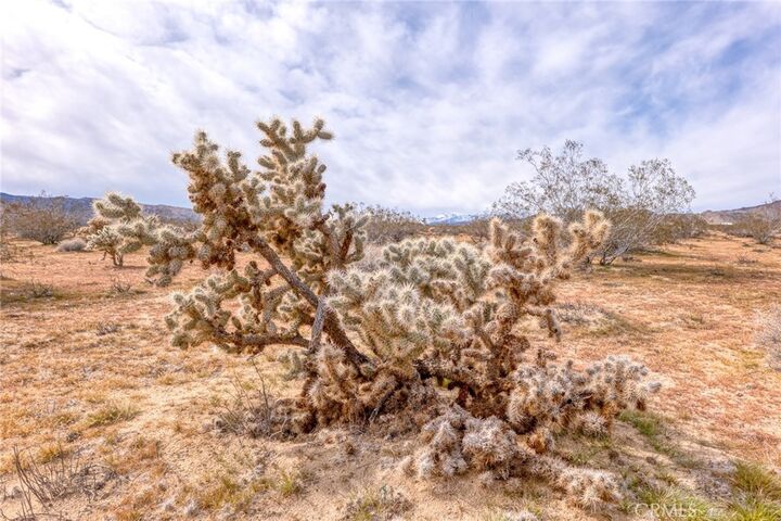 Property Photo:  147 Little Road  CA 92252 