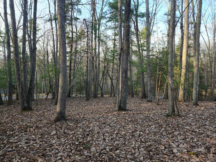 Property Photo:  101 Canyon Rim Ct.  WV 25979 