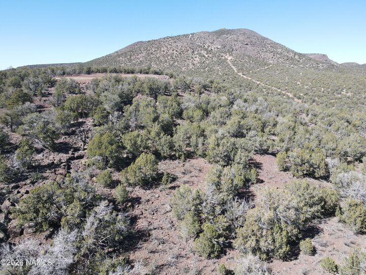 Property Photo:  Parcel #205-33-005  AZ 86046 