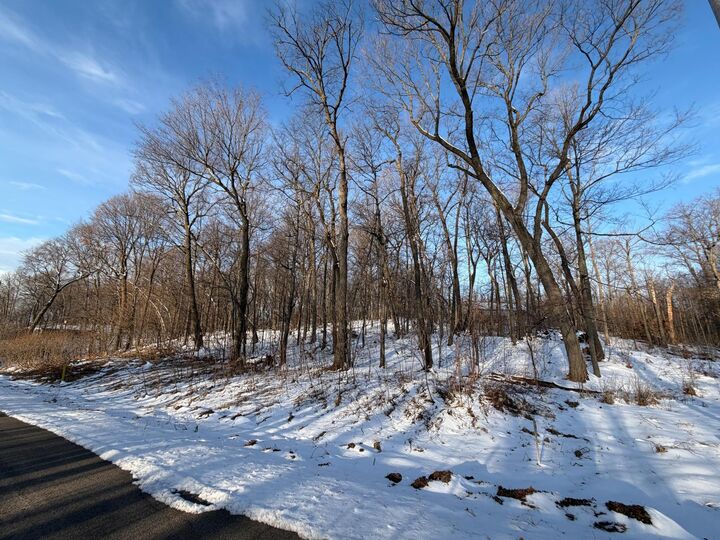 Property Photo: Lots 120 &Amp 121 Earle Brown Drive MN 56450