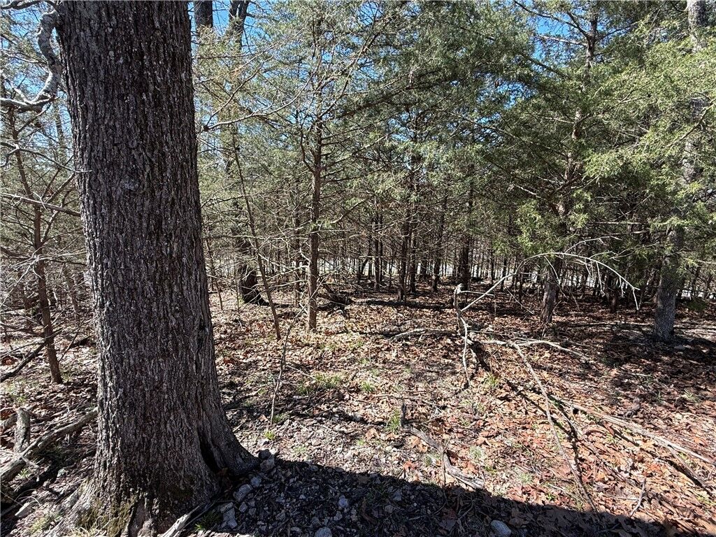 Property Photo: Rocky Top Circle AR 72631