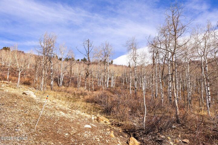 Property Photo:  10516 N Basin Canyon Road  UT 84098 