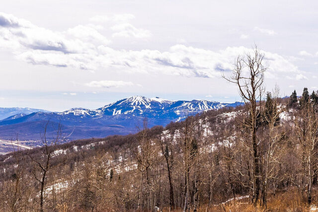 Property Photo: Address not disclosed UT 84098