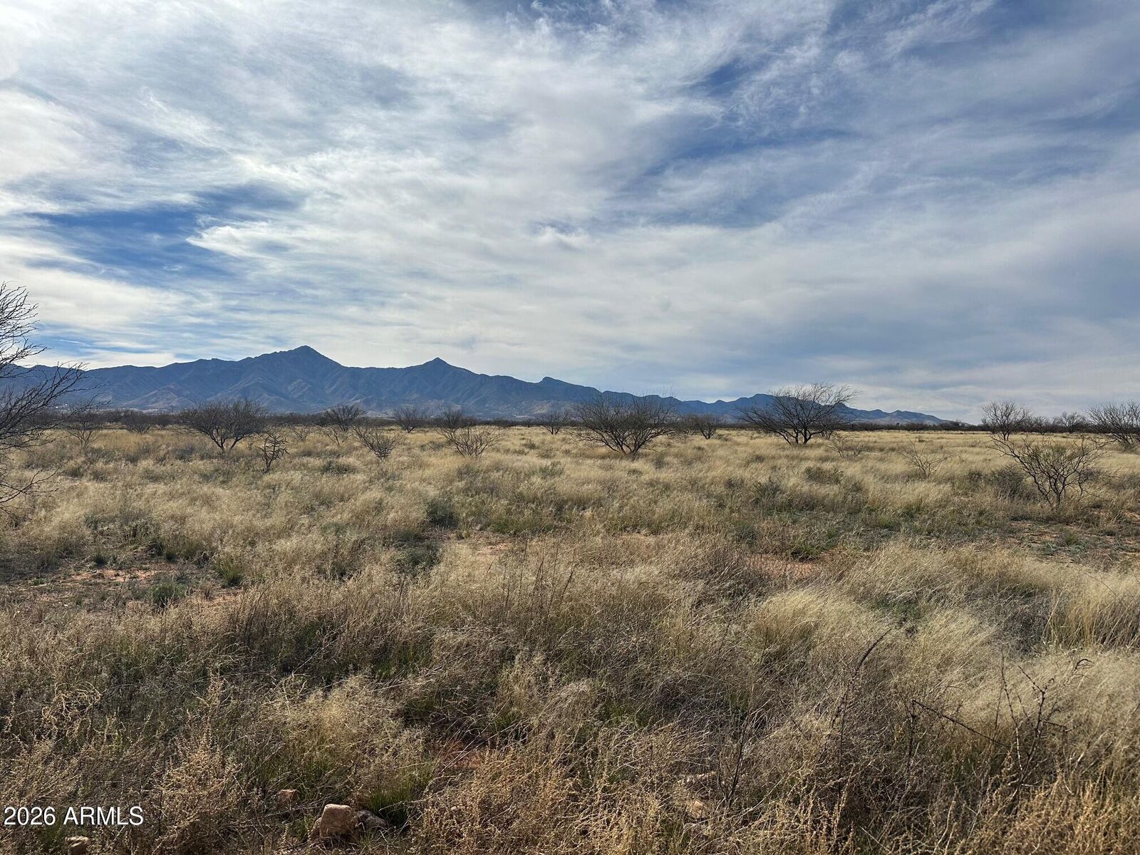 Property Photo:  10056 E Agave Grande Lane -  AZ 85615 