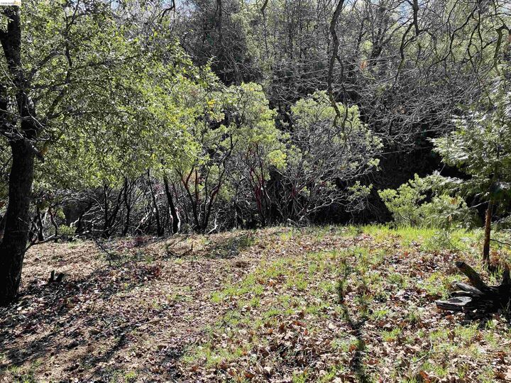 Property Photo:  16505 S Creekside Dr  CA 95370 