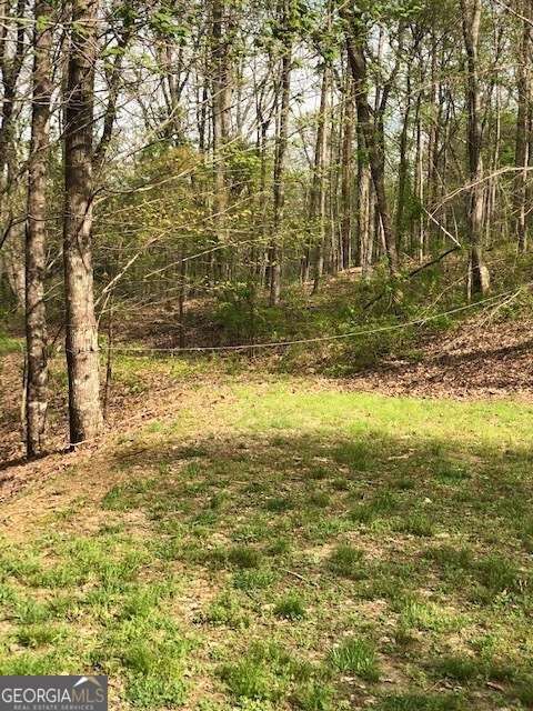 Property Photo: Lt 17B Lakeland Drive GA 30540