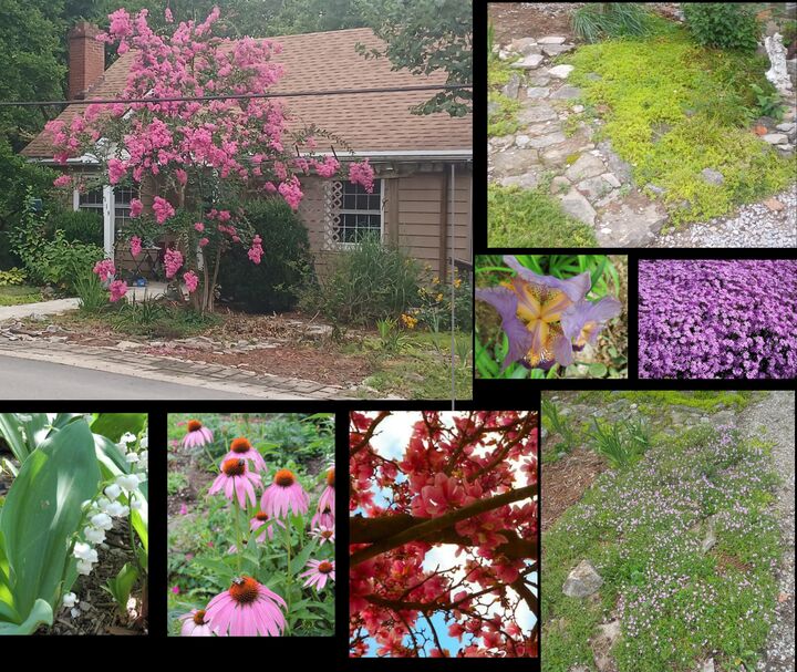 Property Photo: 119 Elkhorn Drive KY 40601