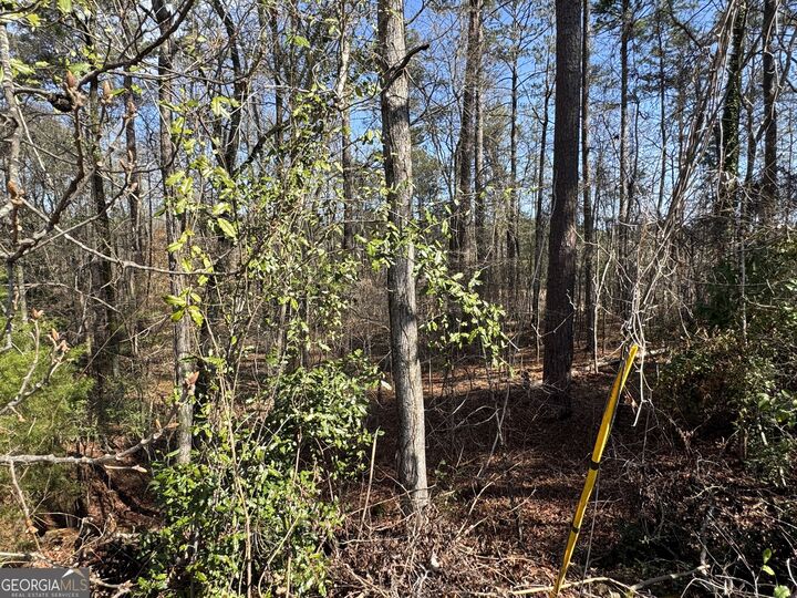 Property Photo: 1954 Wood Valley Road GA 31211